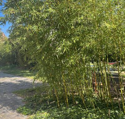 Colocation ou sousloc