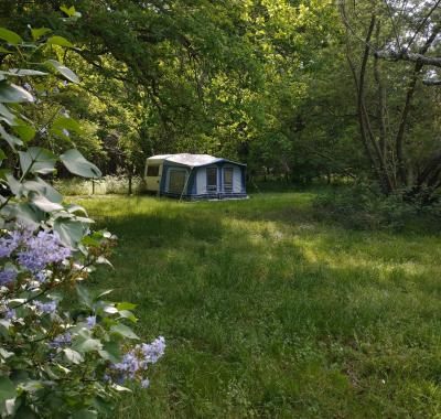 Caravane dans Jardin Spacieux
