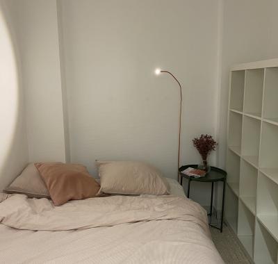 Charmant appartement Haussmannien (entier)