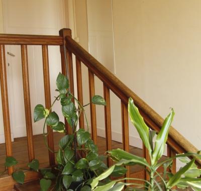 Chambre à louer à  Alençon