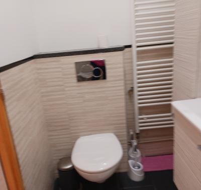 Belle chambre avec salle de bain dans grand pavillon moderne