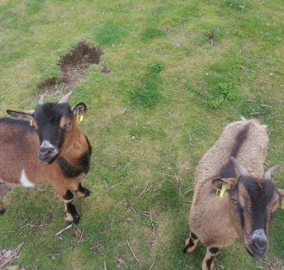 Chambre à louer dans jolie longère au calme