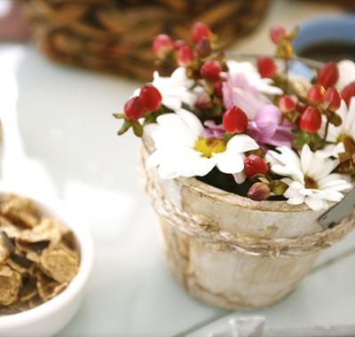 Chambre individuelle sur Lille avec lit en mezzanine