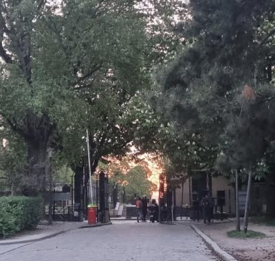 Chambre proche Cité Universitaire