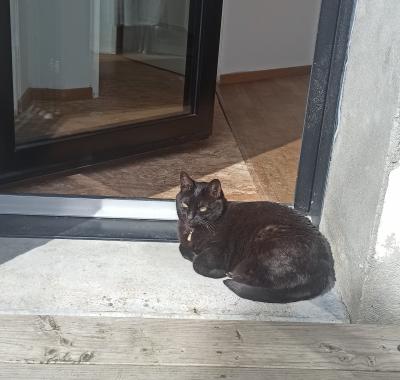 Chambre à louer dans maison près de la gare