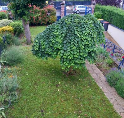 Chambre chez l'habitant à louer
