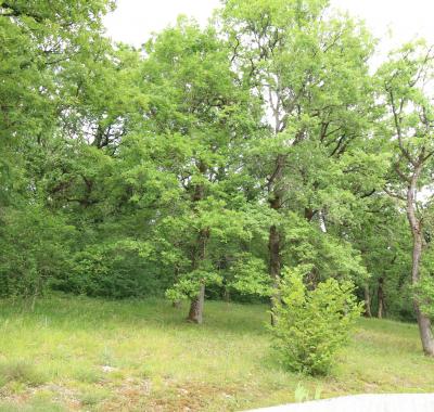 Chambre à louer proche de Montignac