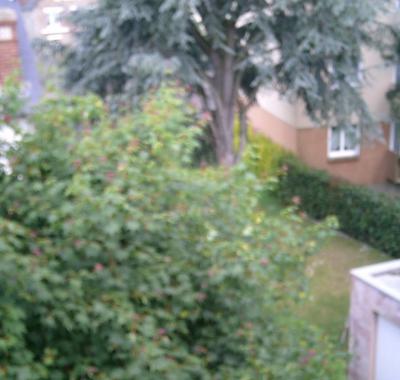 Chambre disponible à rennes