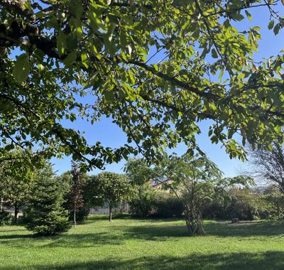 5 chambres à louer à Vénérieu