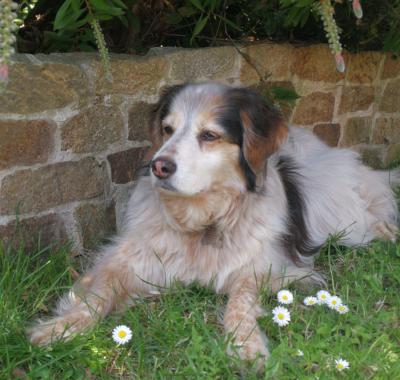 Chambre étage Lambezellec Brest