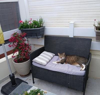 Chambre "Oasis Bleue" Calme Absolu, bien équipée