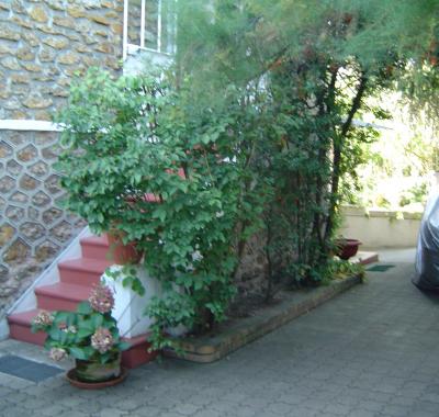 Chambre chez l'habitant