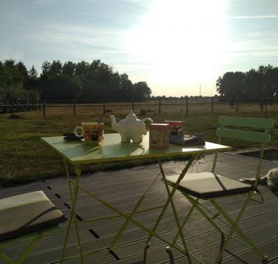 Chambre à louer à la campagne au sein d'un élevage de chevaux