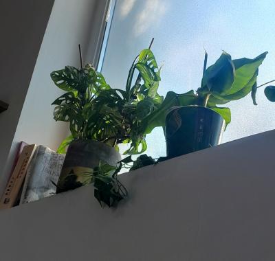 Chambre pour femme uniquement