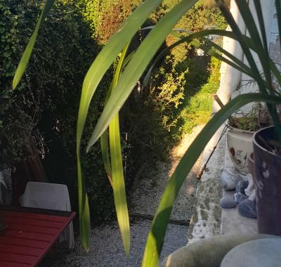 Chambre pour femme uniquement