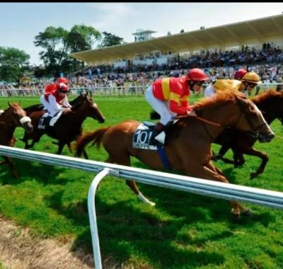 Chambre à louer chez l'habitant à Dieppe en Normandie