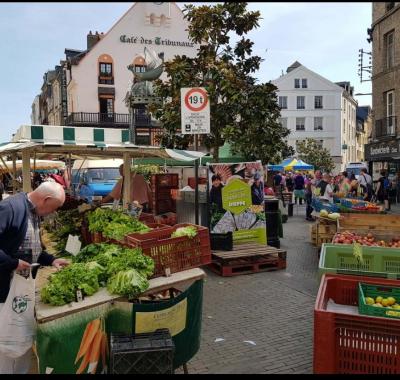 Chambre à louer chez l'habitant à Dieppe en Normandie