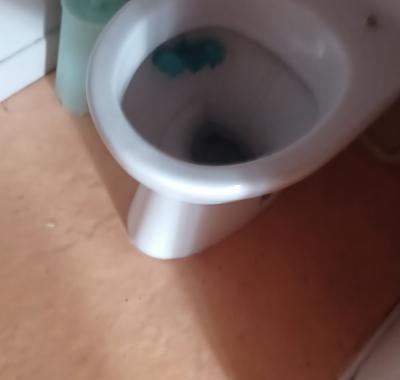 Chambre cosy à louer