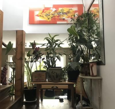 3 chambres à louer meublée au Lac Quesnel