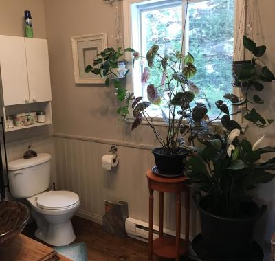 3 chambres à louer meublée au Lac Quesnel