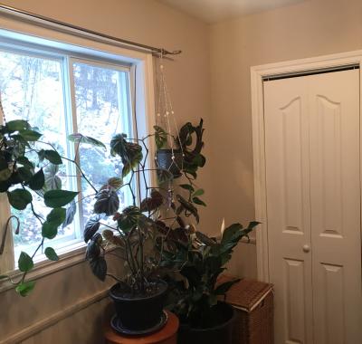 3 chambres à louer meublée au Lac Quesnel