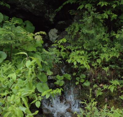 3 chambres à louer meublée au Lac Quesnel
