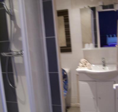 Les fleurs bleues  ganges