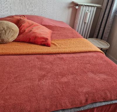 Chambre chez l'habitant/ Métro Paris - Courte durée