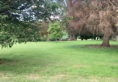Chambre à louer dans une collocation à Court-Saint-Etienne