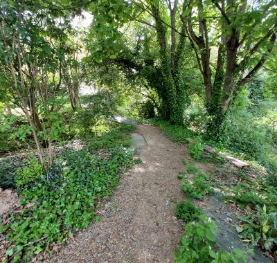 Chambre à louer à  Montjean