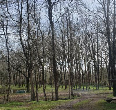 Emplacement tente - van - camping car