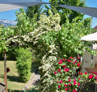 Chambre dans grande maison Annecy