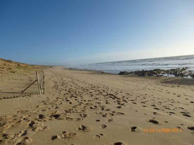 Maisonnette près de l'océan