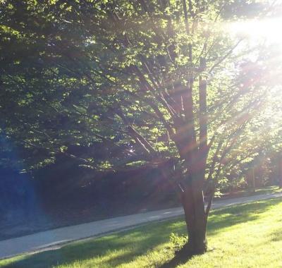 Jolie chambre à louer proche aéroport dans maisonnette
