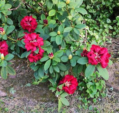 Chambre chez l habitant