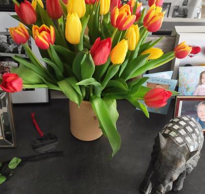 Chambre chez l habitant