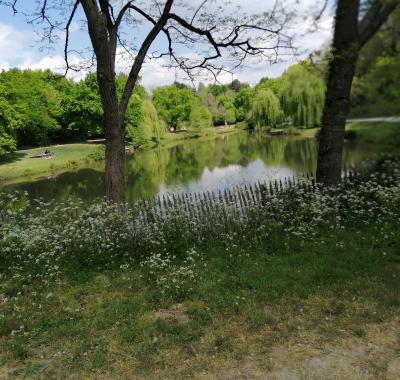 Location chambre chez l'habitant