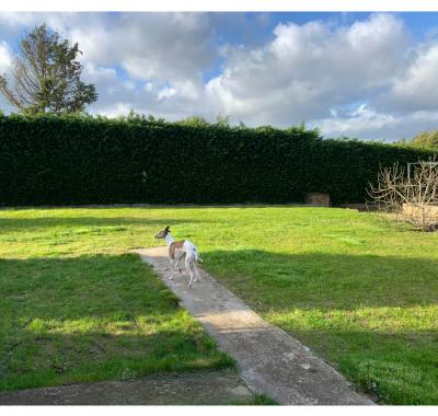 Emplacements de Tente près du Hellfest