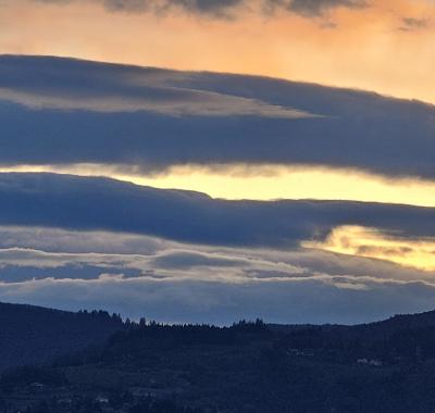 Chambre avec vue sur la forêt (calme assuré)