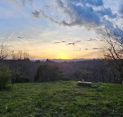 Chambre avec vue sur la forêt (calme assuré)