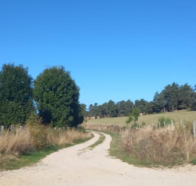 Chez Niki , votre gîte cosy au coeur de la Margeride !