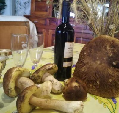 Chez Niki , votre gîte cosy au coeur de la Margeride !