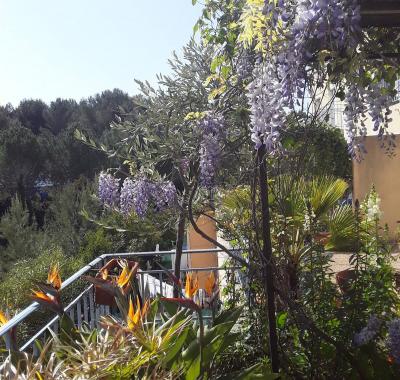 Chambre calme quartier hôpitaux-facultés