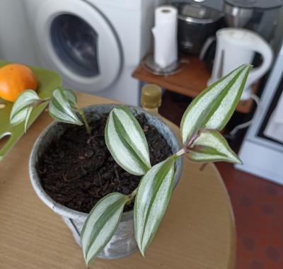 Studio entier Hellfest