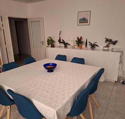 Chambre dans un grand appartement