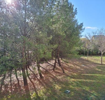 Chambre dans un grand appartement