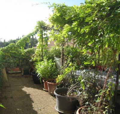 Jolie chambre calme quartier hôpitaux-facultés