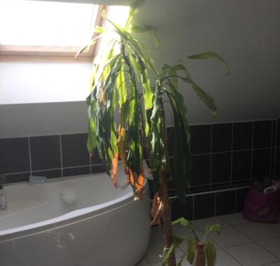 Chambre a l etage d une grand maison