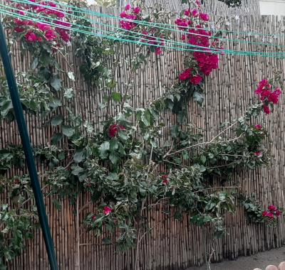 Chambre à louer chez l'habitant