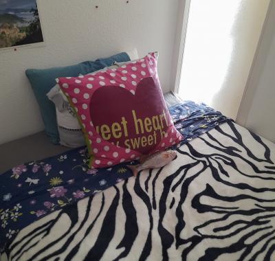 Chambre à louer à Perpignan